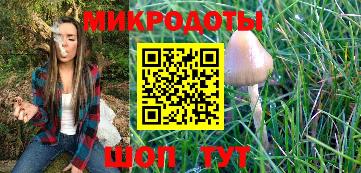 Галлюциногенные грибы Psilocybe Красноярск